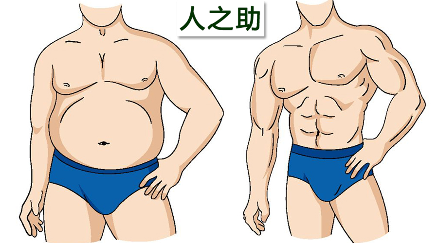 男人太胖會影響性功能